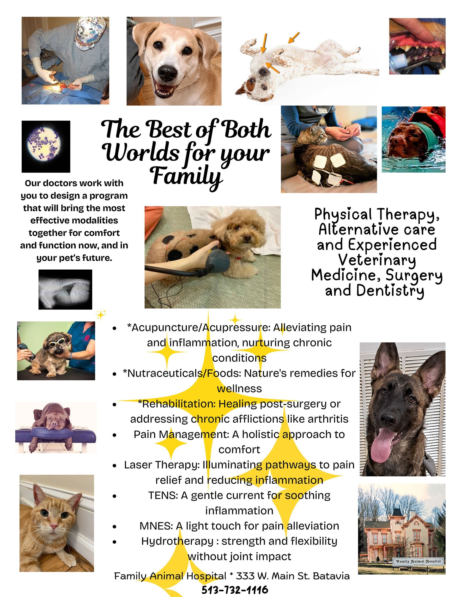 Family Animal Hospital photo