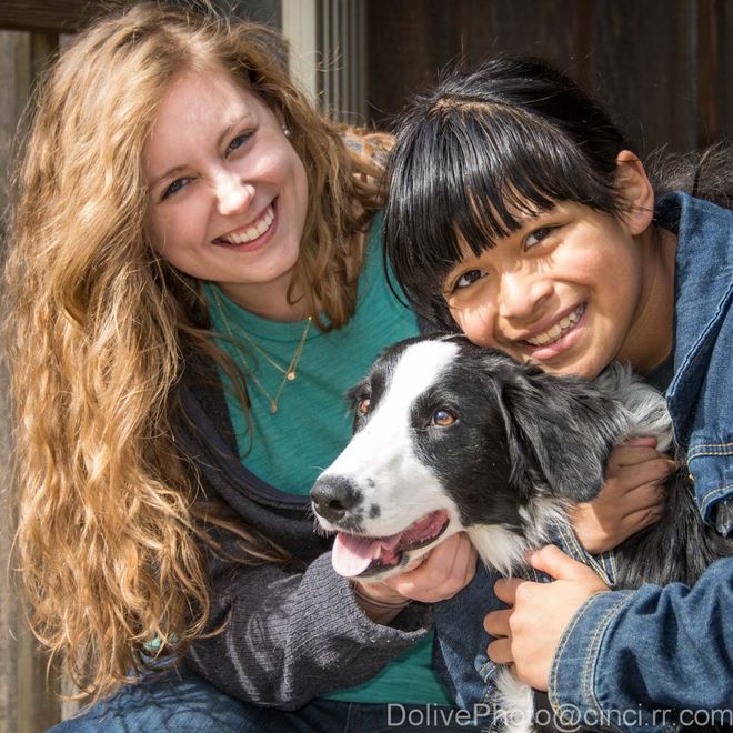 Family Animal Hospital