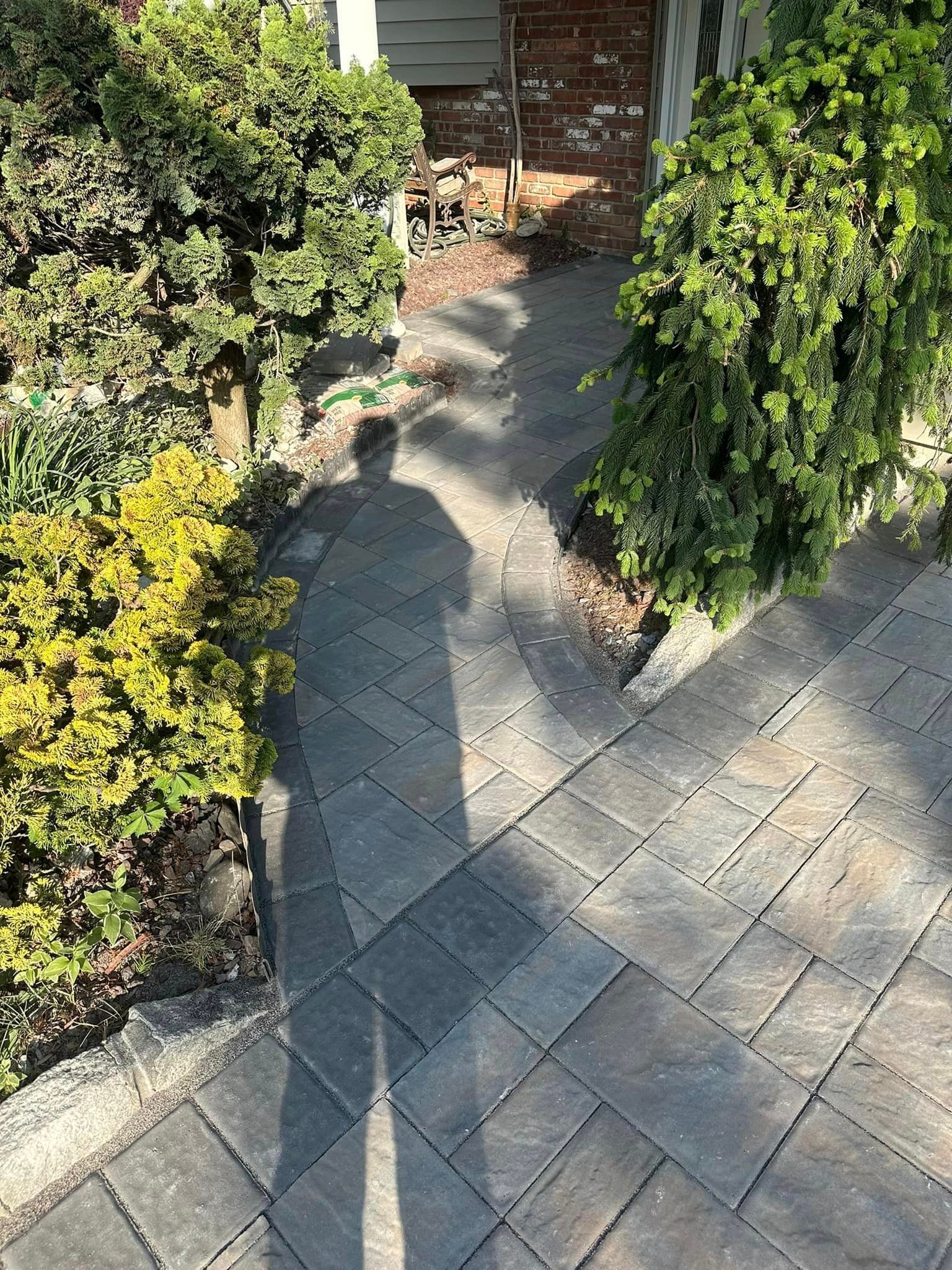 Shadow of a person on a paved walkway, flanked by green and yellow shrubs, leading to a brick building.