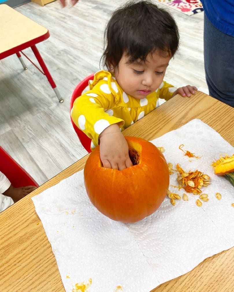 A little girl is carving a pumpkin on a table