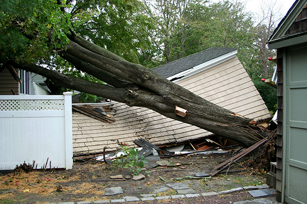 Storm damage