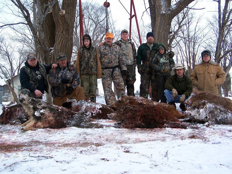 Hog Hunt