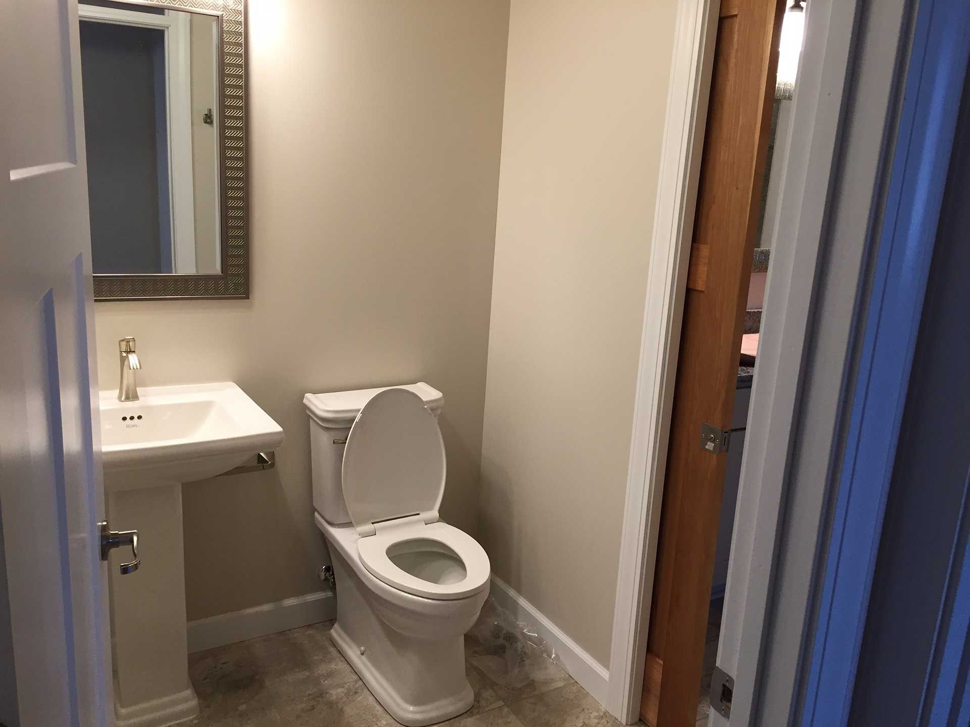 Toilet seat and sink