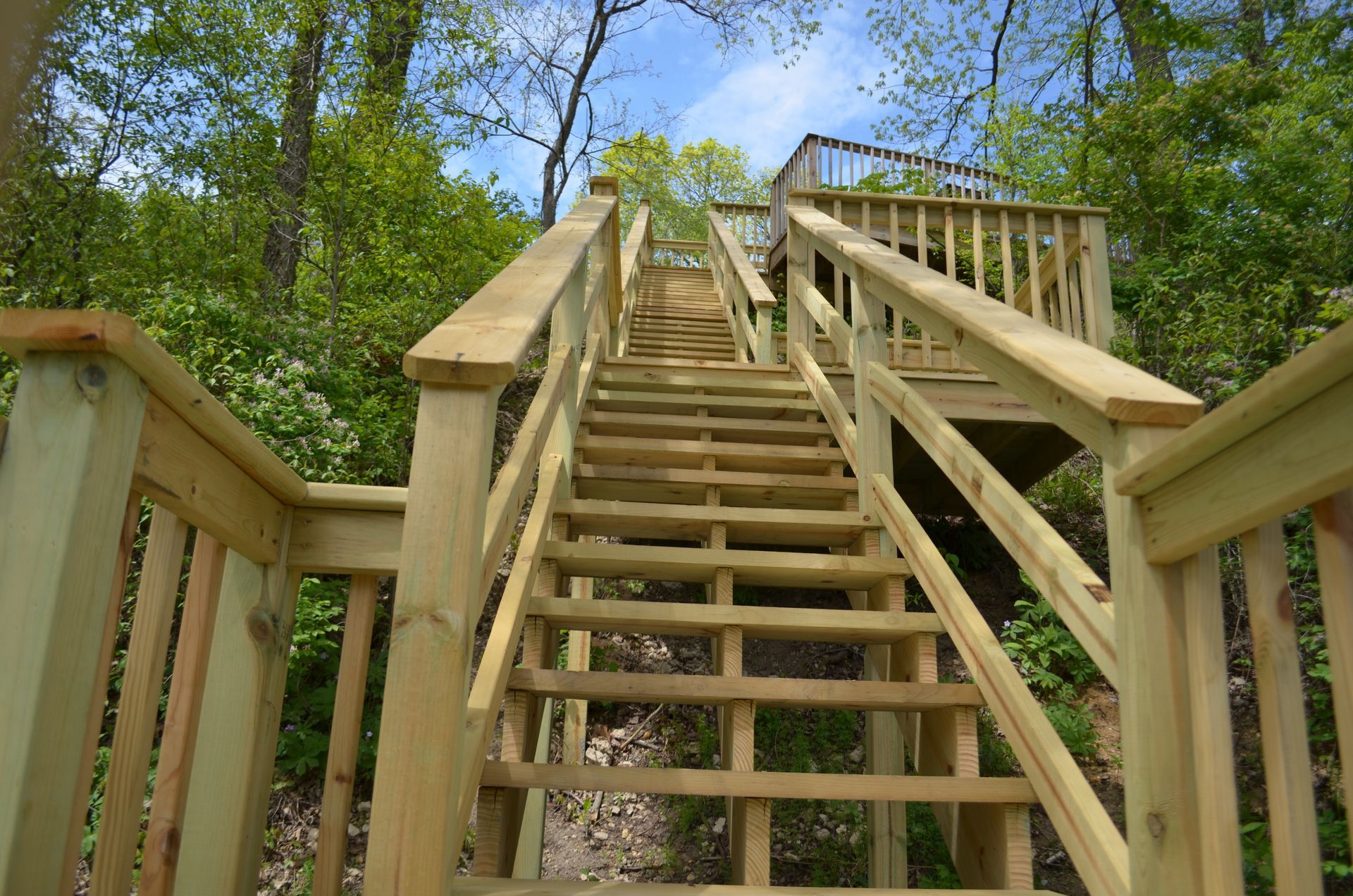 Wooden staircase ascending into a forest, leading to a small platform.