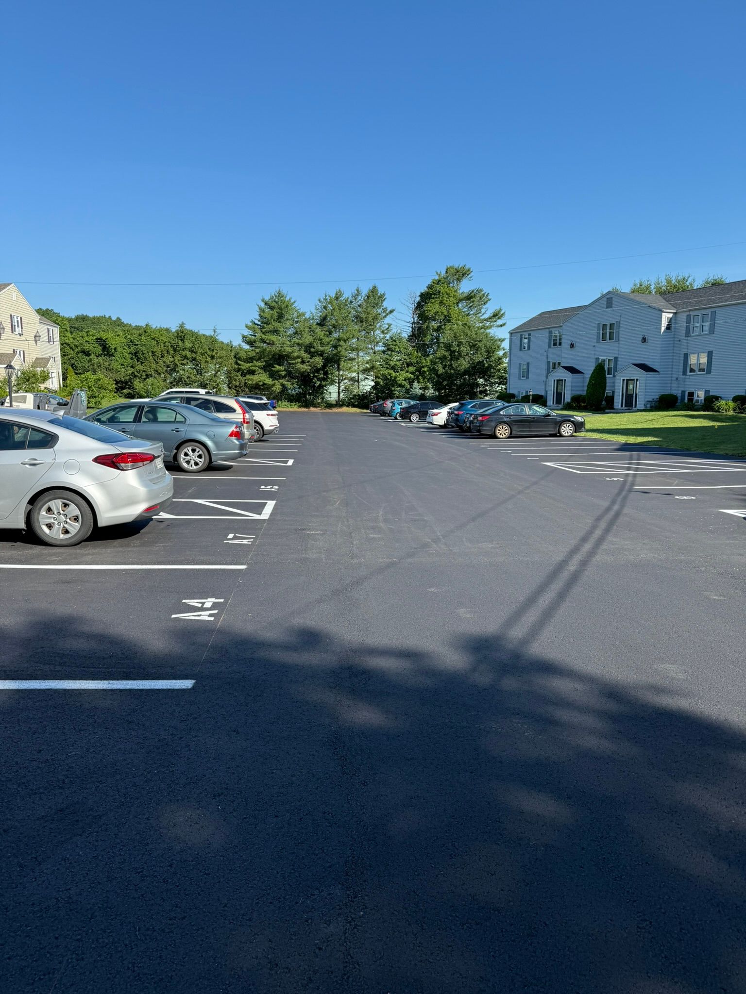 An outdoor residential parking lot on a sunny day with cars parked along both sides under a clear blue sky.