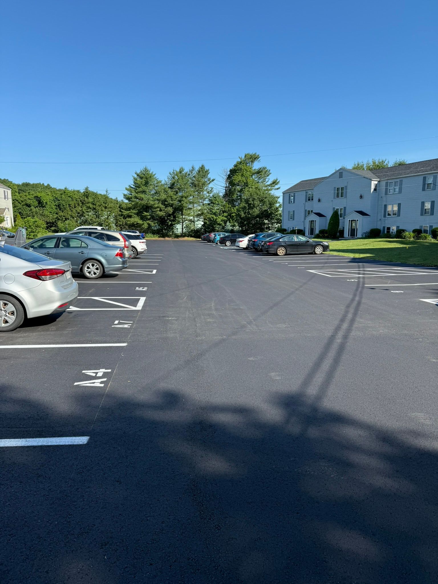 A sunny apartment parking lot with marked spaces and a white building in the background.