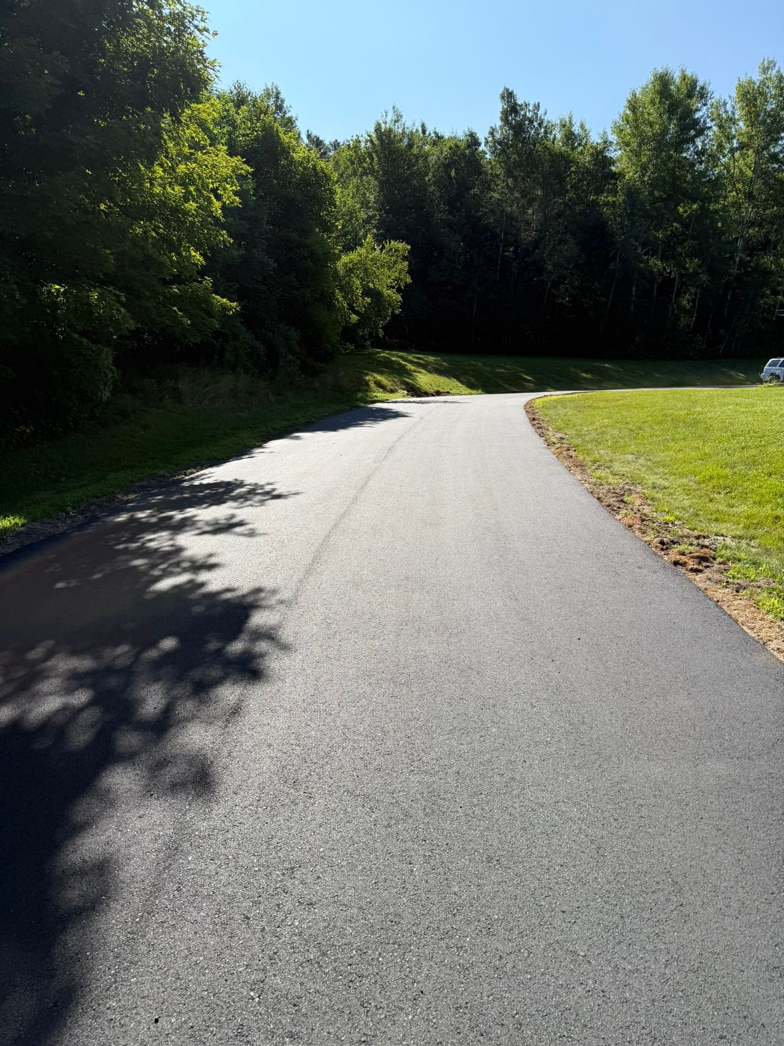 A paved road leads through a grassy area toward a dense forest under a bright blue sky.