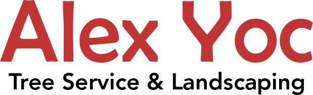 Alex Yoc Tree Service & Landscaping Logo