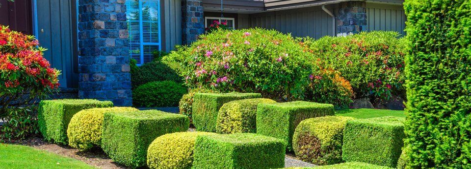 House with nice trimmed bushes