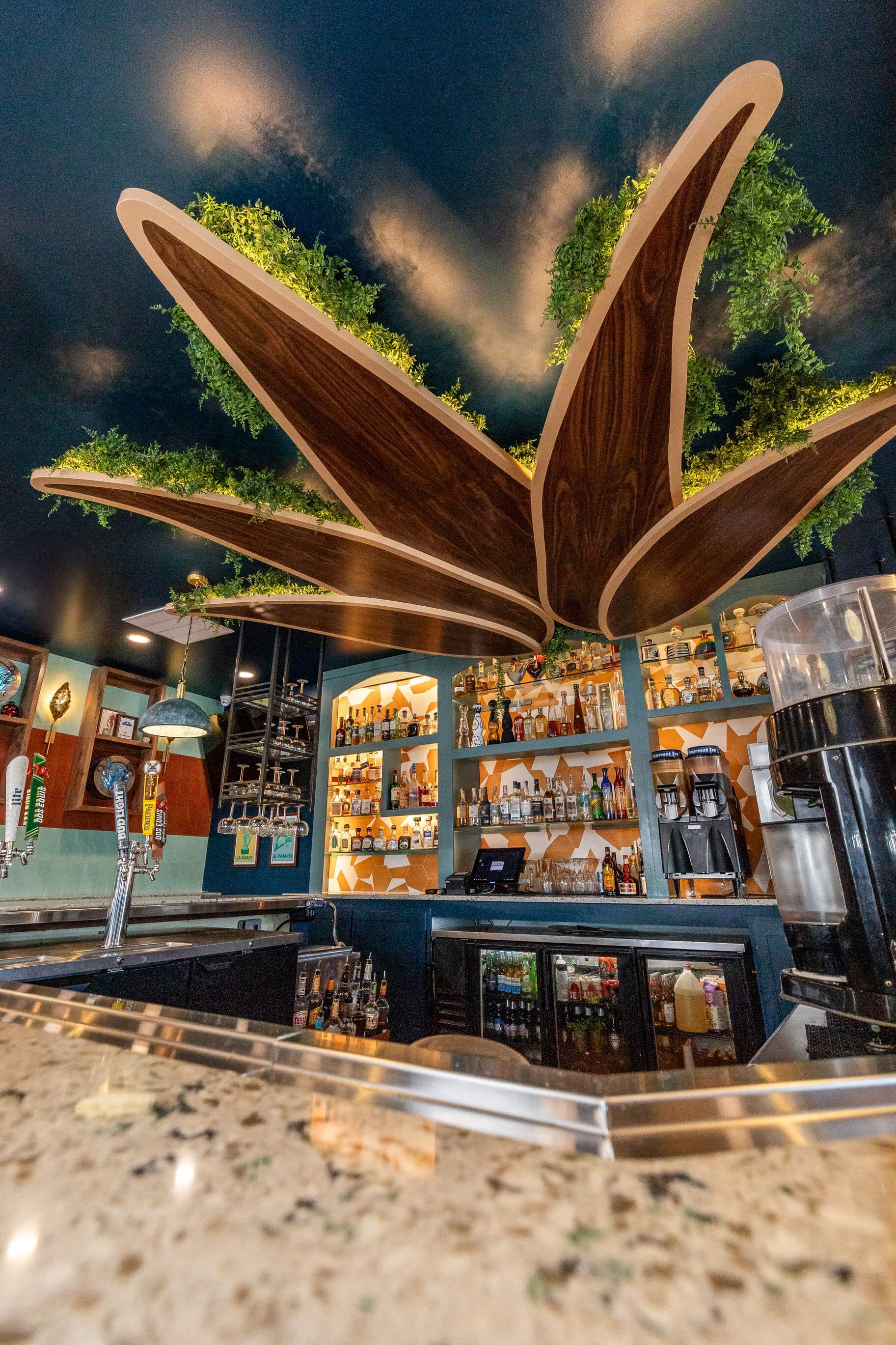 Bar interior with a stylized agave plant design on the ceiling above the bar. Bottles and glasses are behind the bar.
