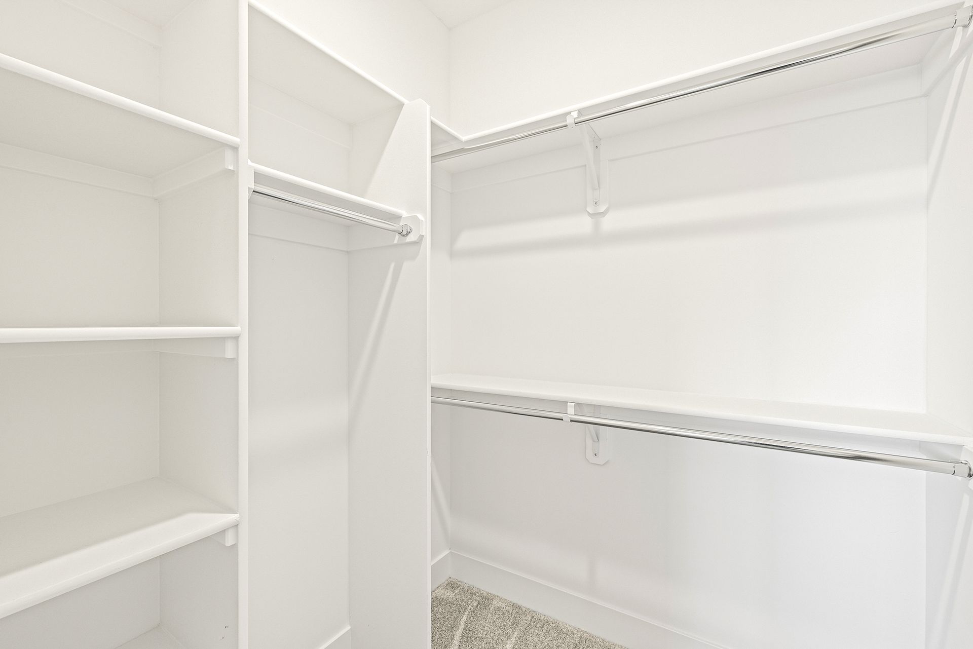 A walk-in closet featuring white shelves, hanging rods, and light-colored carpet flooring.
