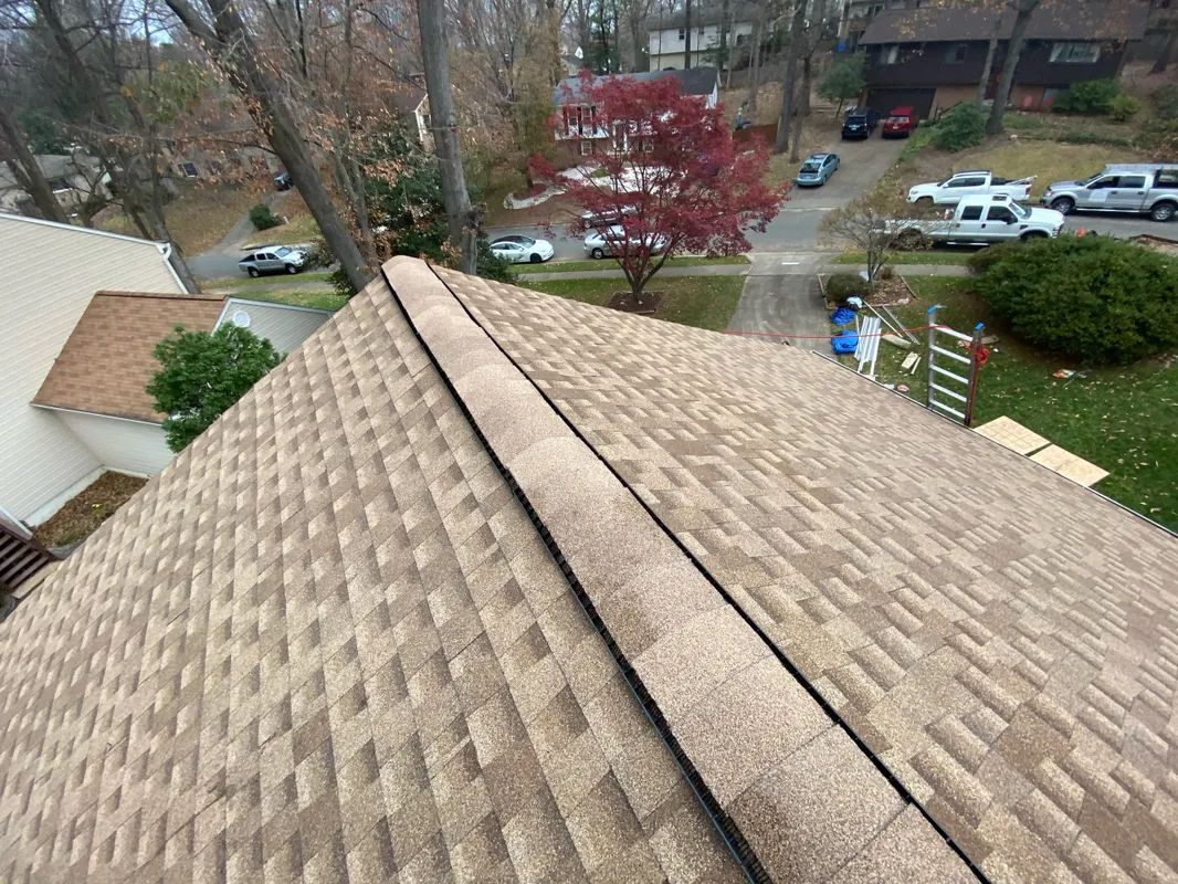 shingle roof