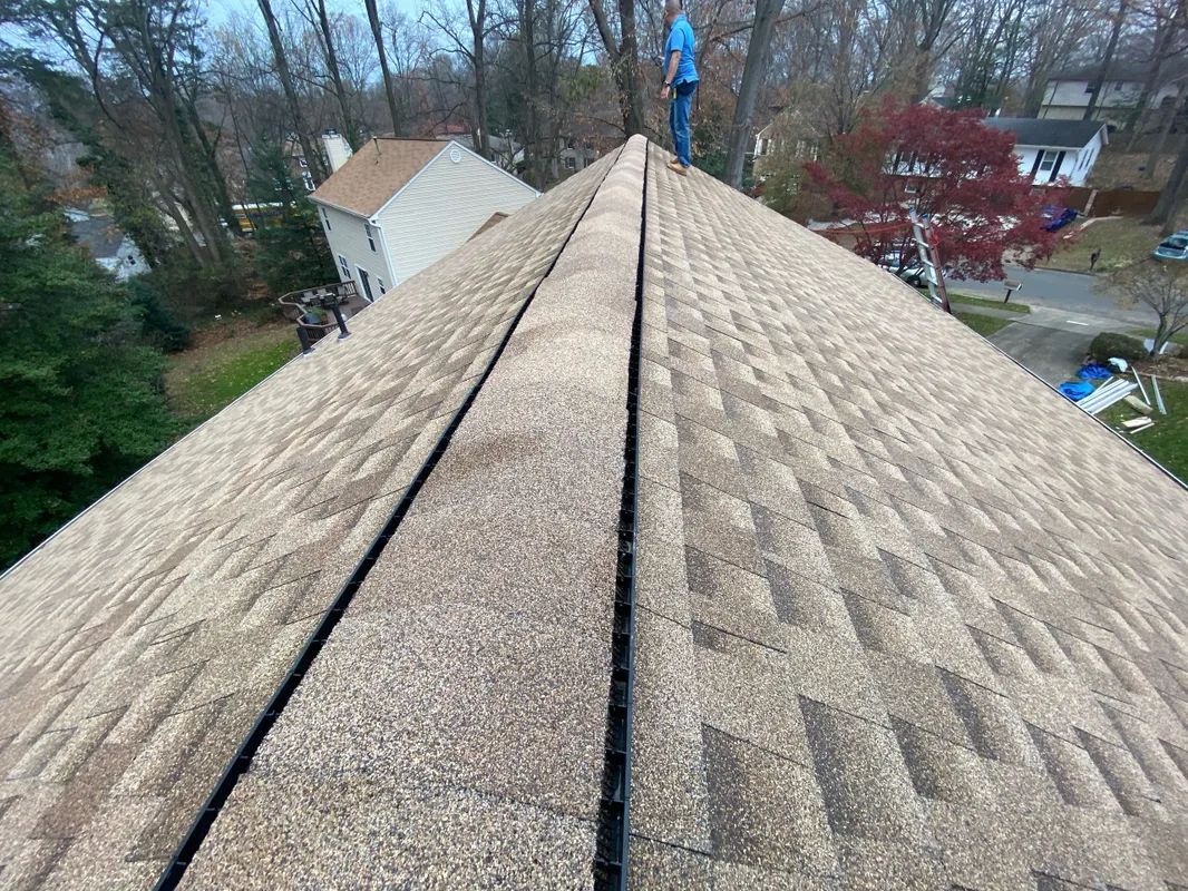 shingle roof