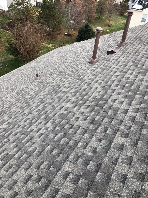 shingle roof