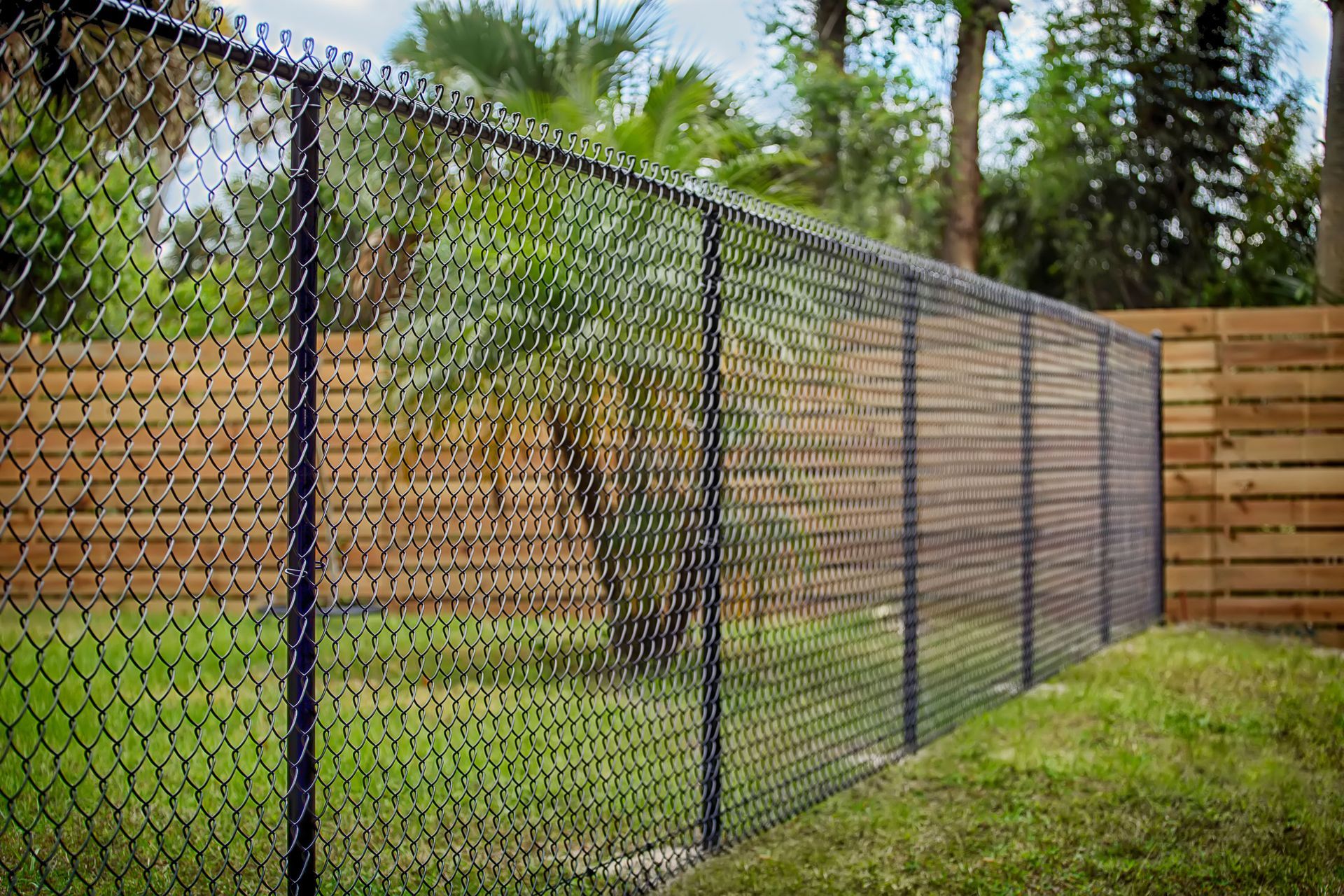 A black chain-link fence runs diagonally across a green lawn in front of a wooden horizontal fence and green trees.