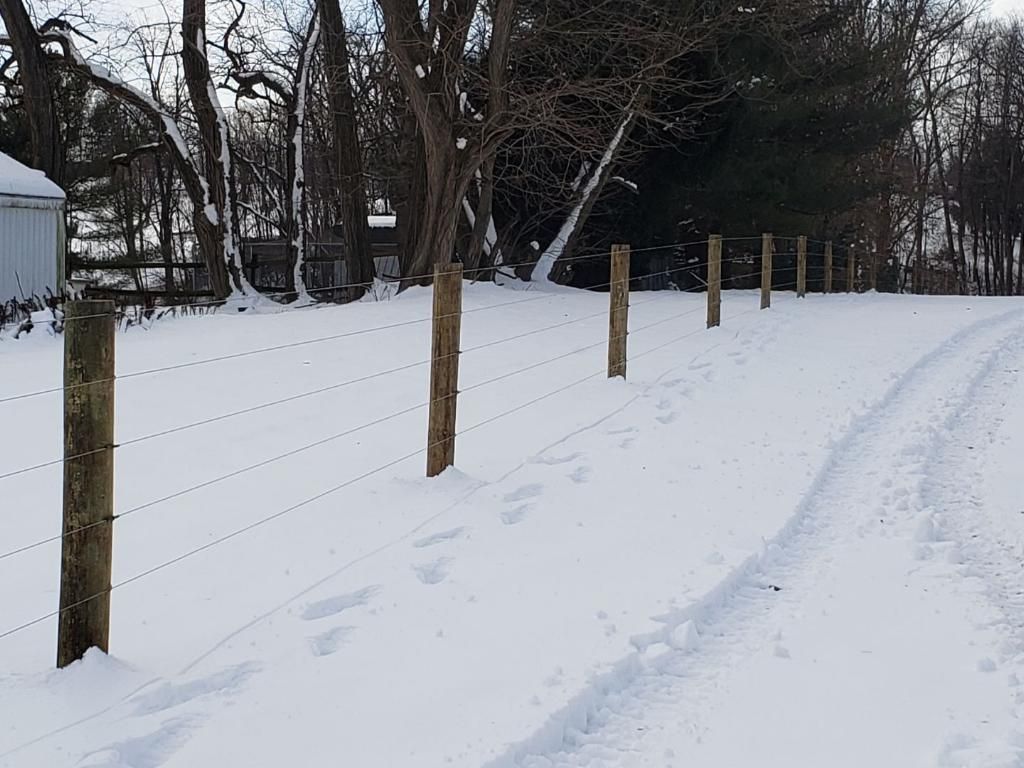 A row of wooden fence posts with wire fencing runs through a snow-covered field alongside a tire track.