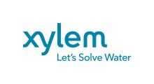 xylem