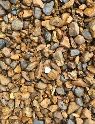 Close-up of assorted brown and gray pebbles, one coin visible.