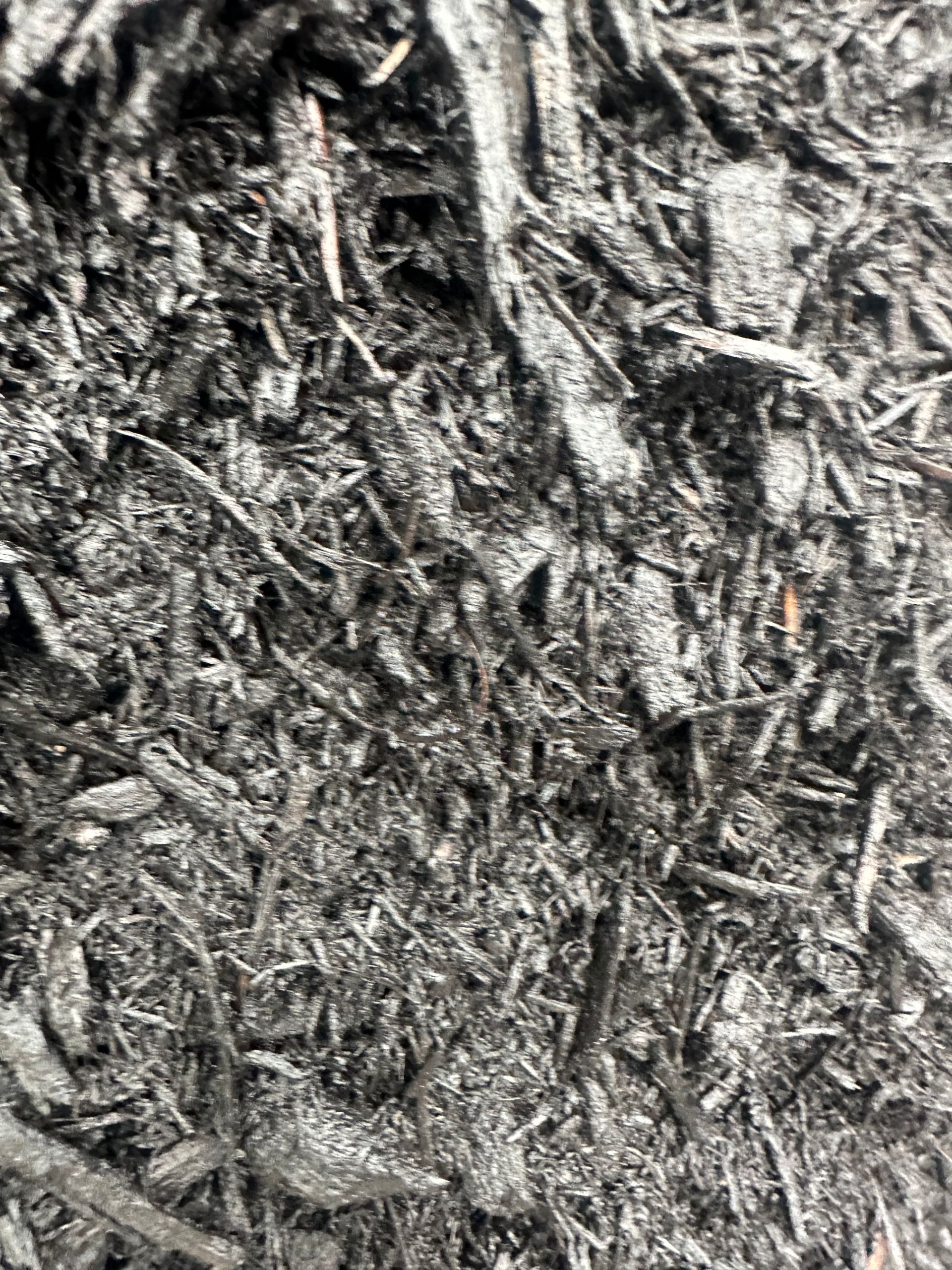 Dark gray mulch, textured with small wood chips and fibrous pieces.
