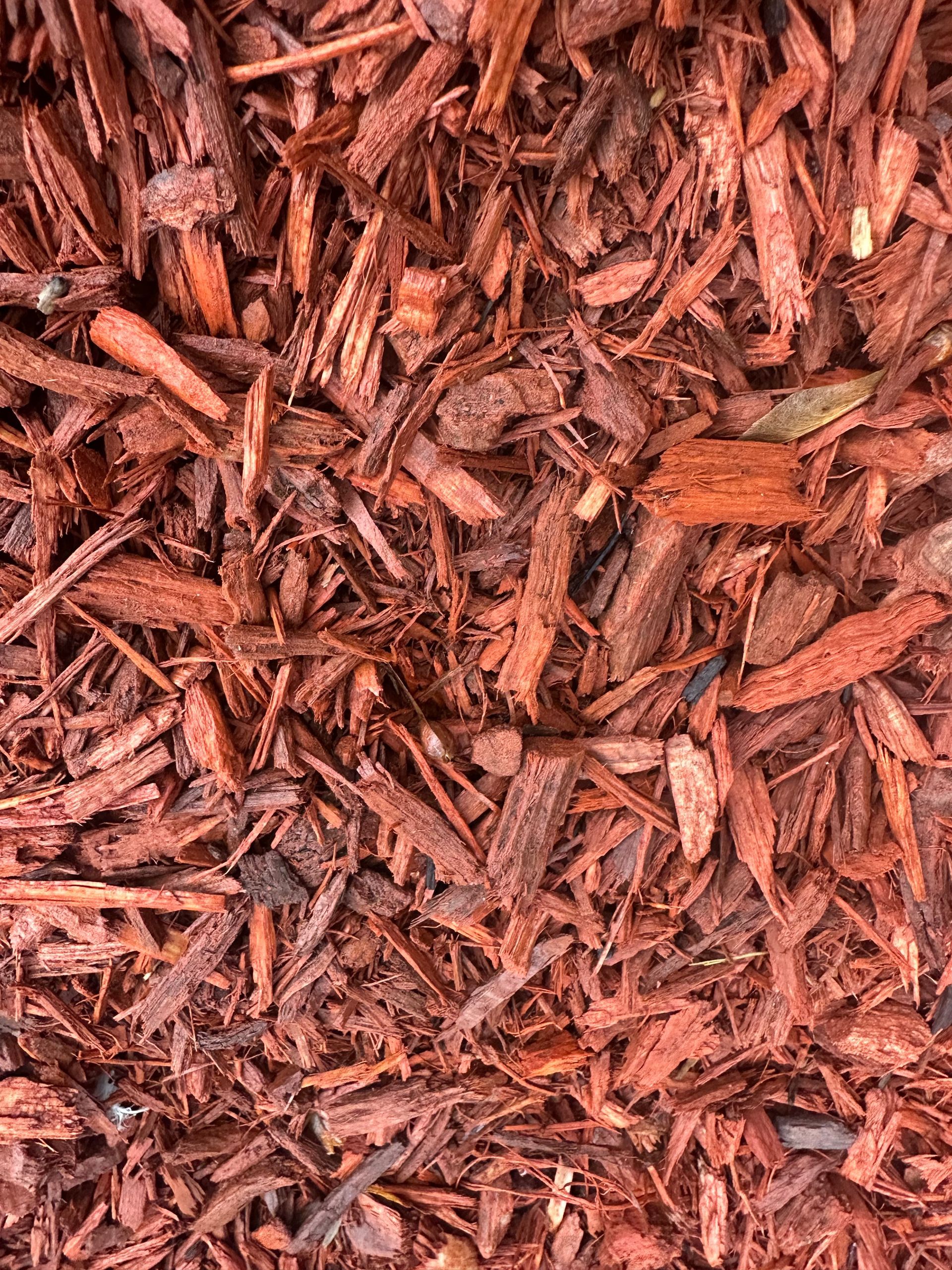 Red mulch, consisting of shredded wood pieces, fills the frame.