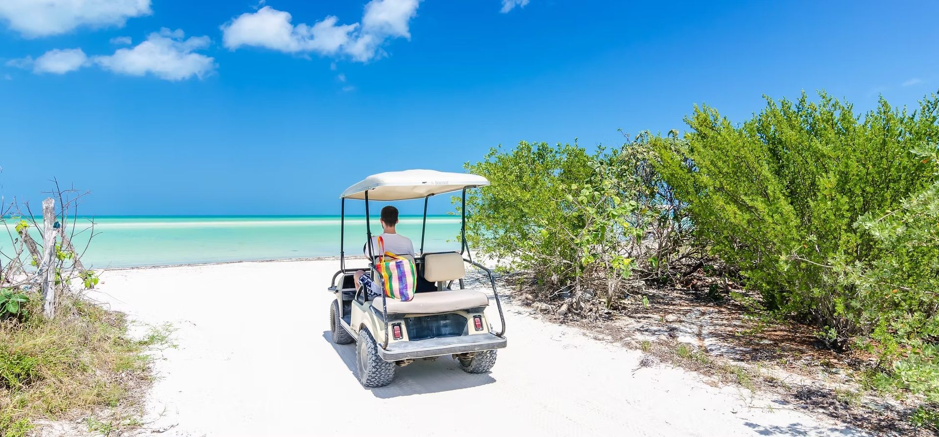 Three people ride in an open-air cart on a sunny road lined with palm trees.