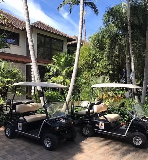 Two black golf carts parked outside a tropical resort building with palm trees