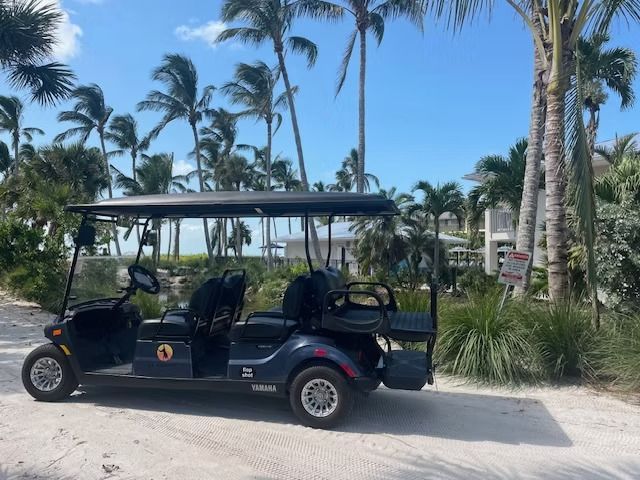 Black open-air shuttle cart parked on a sandy path with palm trees and resort buildings in the background