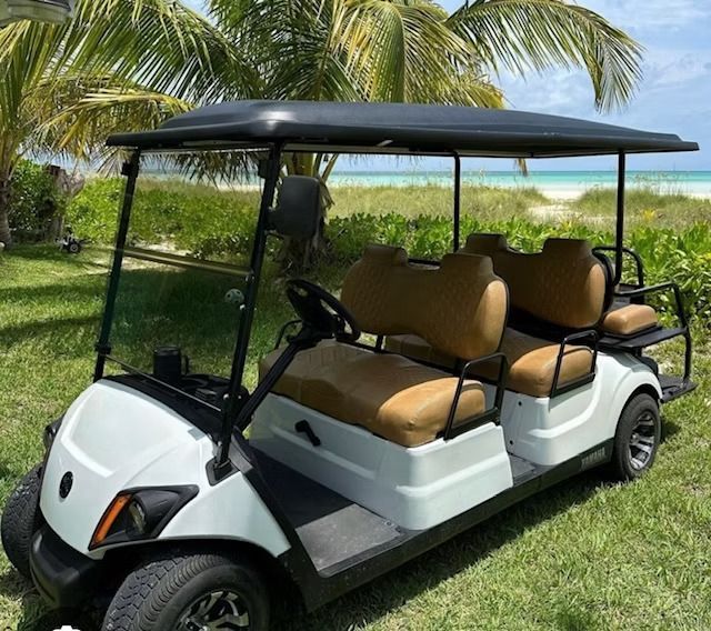 White golf cart with tan seats parked on grass under palm trees near a beach.