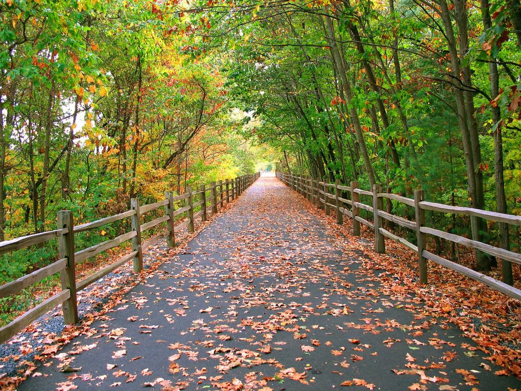 A country road during New England Fall with autumn leaves
