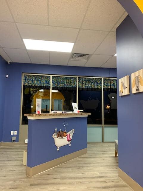 Bows & Bones Pet Grooming photo gallery