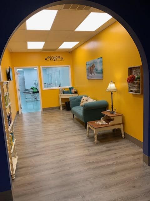 Bows & Bones Pet Grooming photo gallery