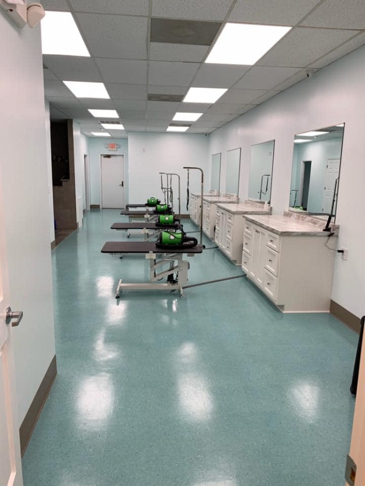 Bows & Bones Pet Grooming photo gallery