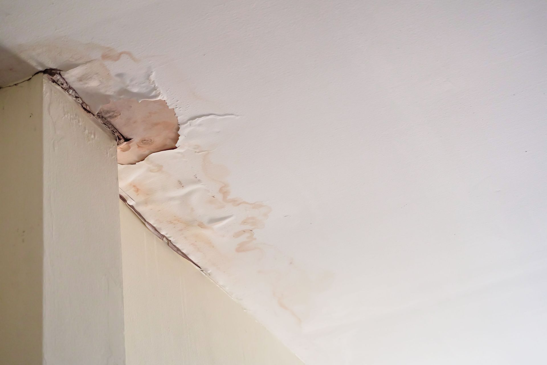 3 Early Signs of Water Damage Every Homeowner Should Know