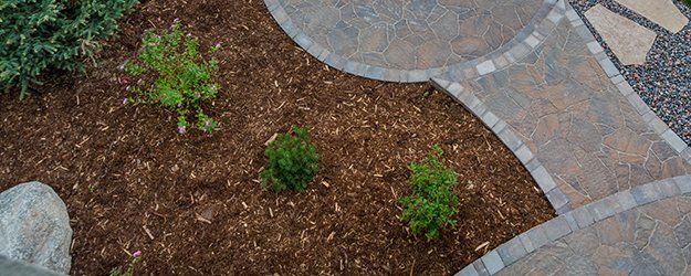 Xeriscaping and hardscaping