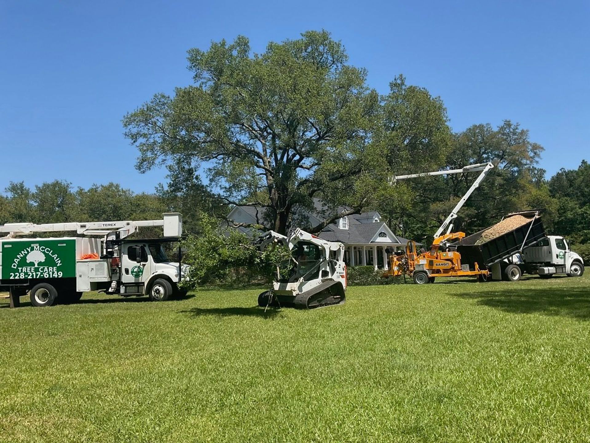 Tree removal service in progress: Trucks, lift, and skid steer around a large tree on a green lawn. Blue sky.