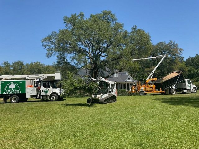 Tree removal service in progress: Trucks, lift, and skid steer around a large tree on a green lawn. Blue sky.