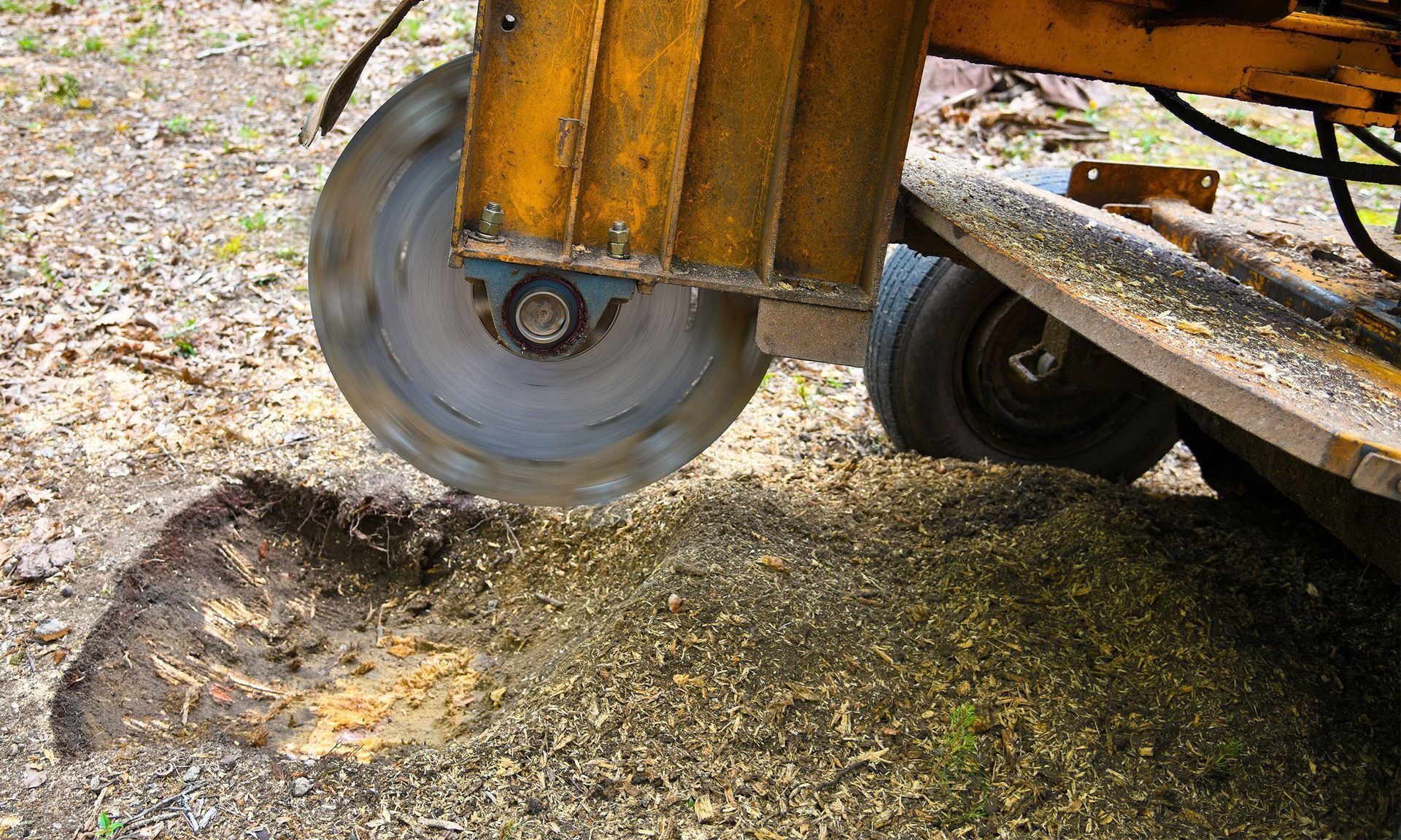 Stump grinder grinding a tree stump into wood chips.