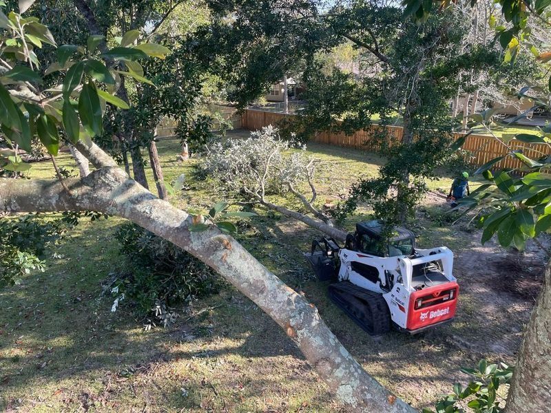 A tree branch is on the ground, and a Bobcat is on the grassy area in front of a fence.