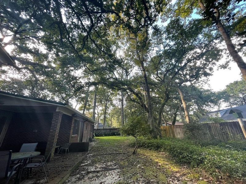 Backyard with a large tree, brick building on left, fence in the background.
