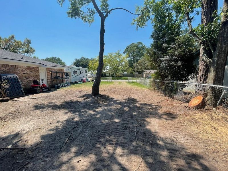 A cleared, sandy backyard with a lone tree and a fence, with a blue sky overhead.