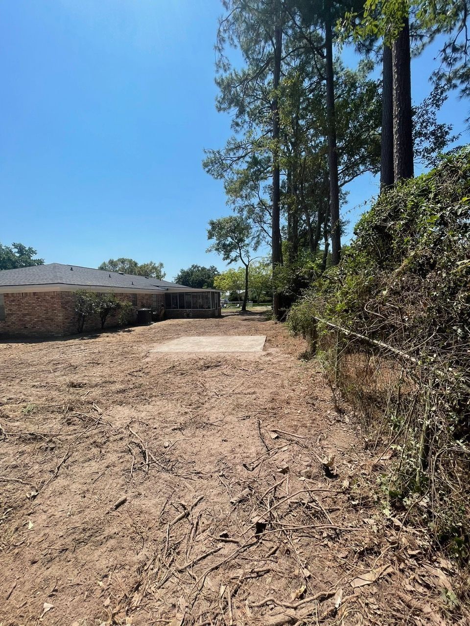Cleared dirt lot, trees on the right, brick building in the background under a clear blue sky.