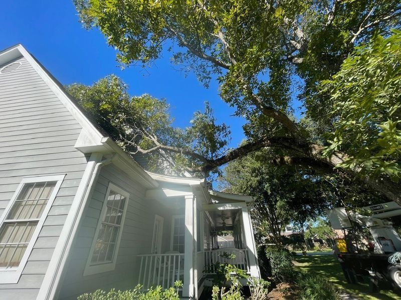 Tree branch fallen on the roof of a house on a sunny day.