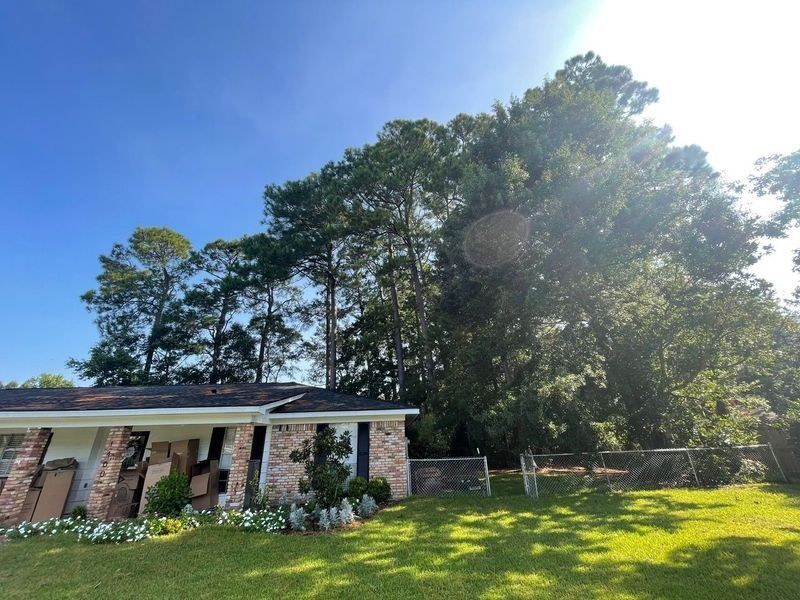 Low-angle shot of a house with tall trees against a bright blue sky; sunlight.