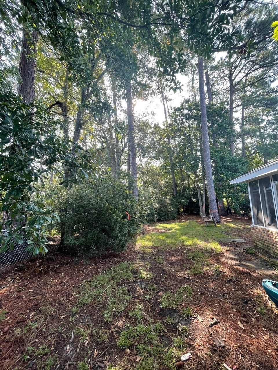 Lush backyard with trees casting shadows on a grassy area and a house on the right.