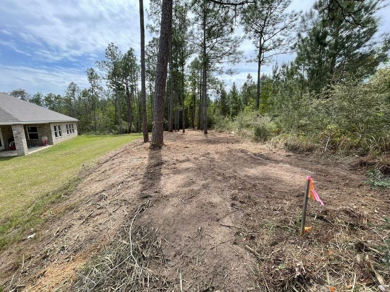Cleared dirt path bordered by trees and grass, with a house visible on the left.