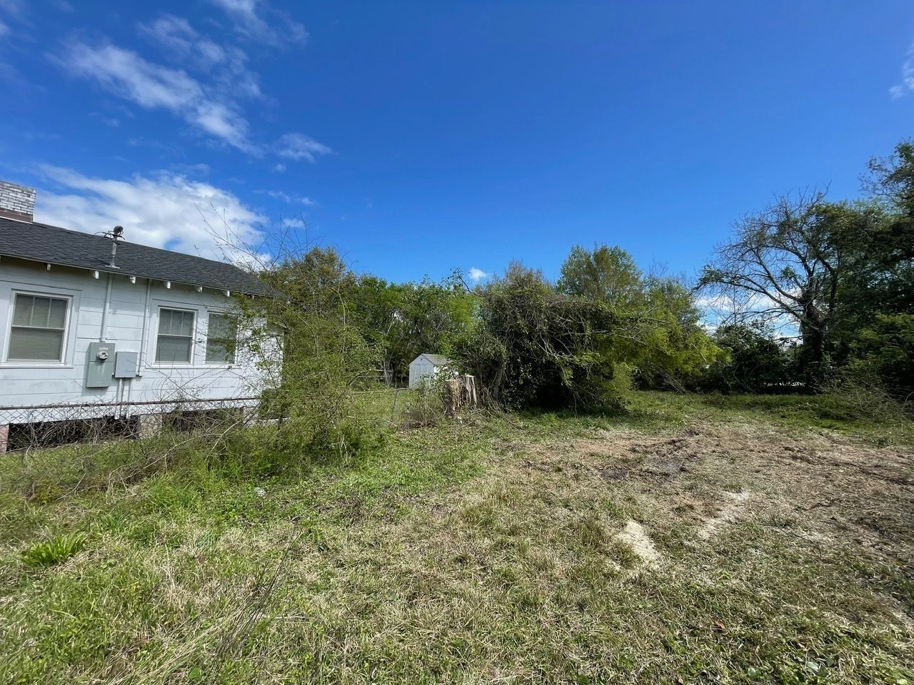 Overgrown yard next to a white house under a blue sky with some clouds.
