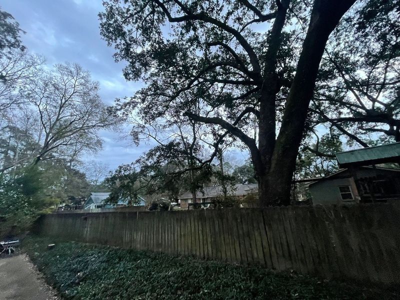 Wooden fence with ivy, large tree, houses under cloudy sky.
