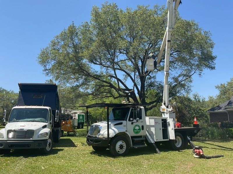 Two trucks parked on grass in front of a tree; one has a lift basket extended, and the other has its bed raised.