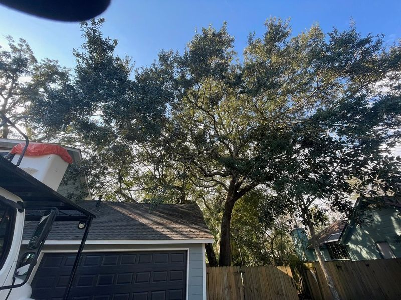 Large oak tree over a garage, seen from below on a sunny day; a tree-trimming truck is visible.