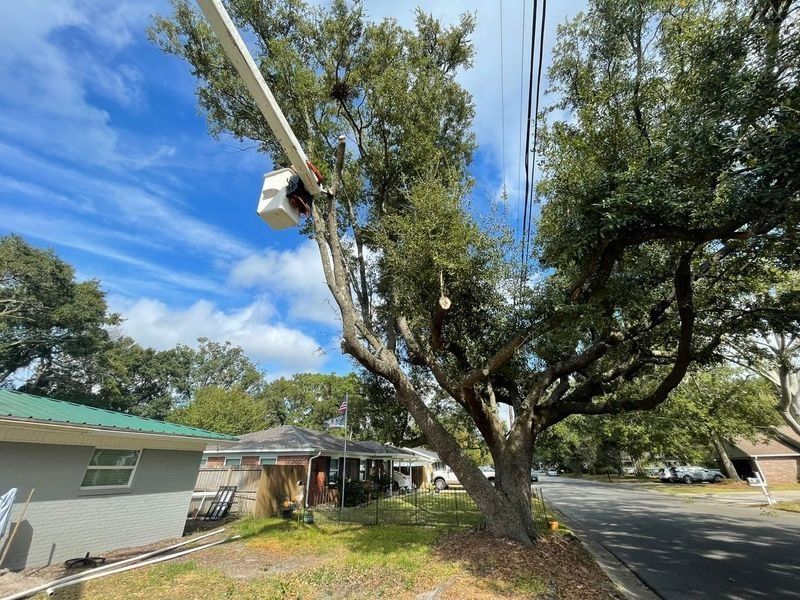 A tree trimming crew in a bucket truck working near power lines in front of a house on a sunny day.